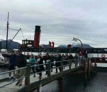 湖北地區(qū)塔吊設備市場概覽 選購指南與行業(yè)趨勢